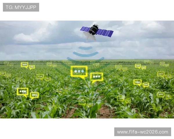 智慧农业智能化自动喷淋系统优化与节水管理研究